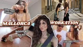 Haircut, take the cat, meet new people &&& - MALLORCA WORKATION 4
