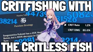 Seeing if Critkomi is Still Good - Vape Crit Kokomi Build