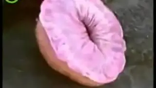 Медуза и кока-кола