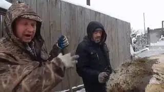 КАК СМАЛИТЬ ШЕРСТЬ НА ВЕНГЕРСКОЙ МАНГАЛИЦЕ