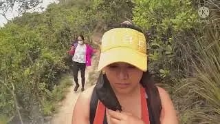VIOLET HILLS HONGKONG