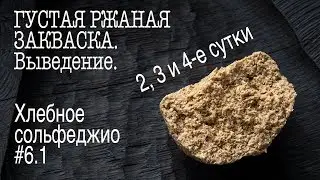 Bread Solfeggio #6.1. Thick Rye Sourdough. Continued. Days 2, 3, and 4 of Withdrawal