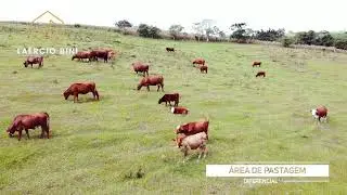 Terreno agrícola em Pouso Redondo