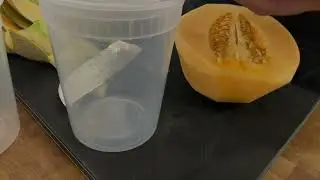 How to cut a cantaloupe