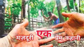 मजदूर की मजदूरी प्रेम और त्याग भरी सेवा । #farmer #farming @RonYoutuber
