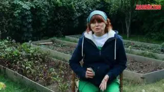 Two ways to desalinate and improve soil