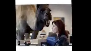 Whisper Song l| Llama