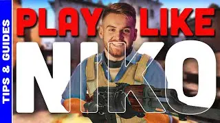 What YOU can Learn from NIKO