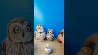 Матрешки совушки , обзор .