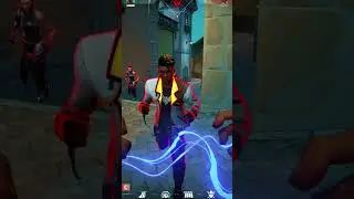 The Life of a Harbor Main