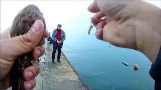 Ловля бычка на спиннинг, или Рокфишинг по Одесски