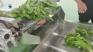 Automatic Bubble Washing Drying Machine | Leafy Vegetable Washing Line