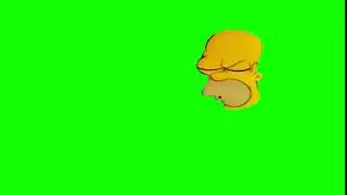 Homer NOOO - Green Screen HD