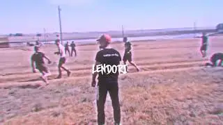 LENDORI VINE#1