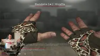 DAILY CSGO HIGHLIGHTS #35