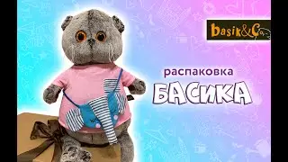 РАСПАКОВКА БАСИКА / БАСИК В РОЗОВОЙ МАЙКЕ С КАРМАНОМ 