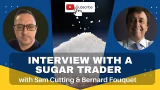 Live Call With A Brazilian Sugar Trader #brazil #sugar #exports #thetruth