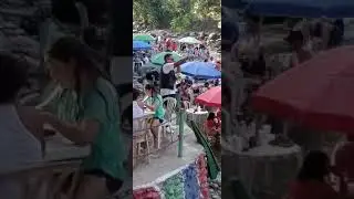 pinini rd eso es vida goza tu también
