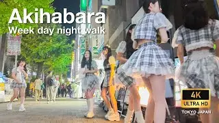 Akihabara on a Weeknight : The Usual Scenery