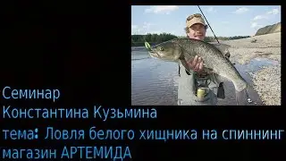 Семинар Константина Кузьмина на тему 