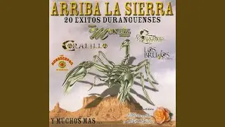 La Pava