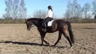 Mikado