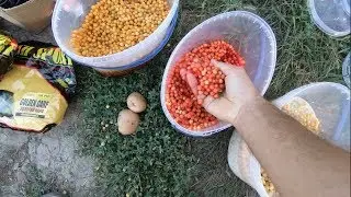 Какой ликвид эффективнее в сентябре/Сообществом убираем мусор с берега/ Днестр, Маяки.