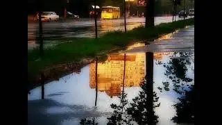 Картинки в лужах (В. Берестов) - Центральная библиотека