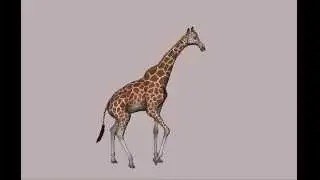 Giraffe Walk Cycle