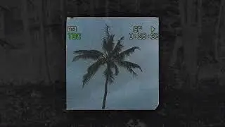ILLEGALMANE - BEAT DOWN