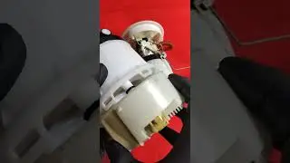 20 сентября 2024 г.