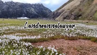 Hiking in Iceland | Landmannalaugar and Snaefellsness!