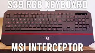 MSI Interceptor DS4100 RGB Keyboard (Unboxing & Review)