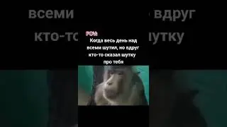 #мем
