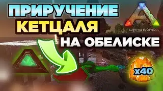 ПРИРУЧЕНИЕ КЕТЦАЛЯ И ЛОВУШКА НА ОБЕЛИСКЕ В ARK MOBILE! СОВЕТ НОВИЧКАМ! 