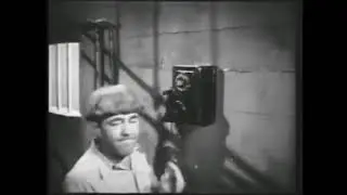 Three Stooges Flood a Basement