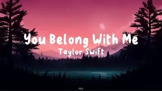 You Belong With Me - Taylor Swift (Lyrics)