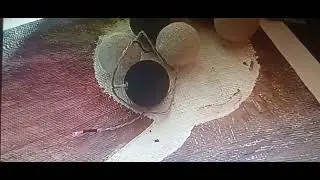 Картина часть вторая, продолжение следует.