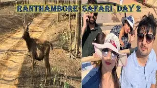 Ranthambore tour|Trip to Ranthambore|Gzb to Ranthambore via Mumbai Exp.way|Tiger safari|DAY  -2.