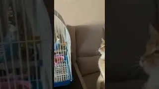 Симбочка и Жора🌸