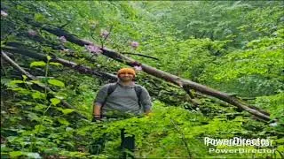 Diriliş Ertuğrul dizisi hakkında diriliş Ertuğrul filmi eleme diriliş tarih dizi analiz bakış 2 