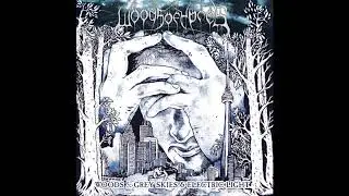 Woods of Ypres - Finality (Siegfried Meier Mix) [Official Audio]