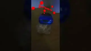 ламба_порше