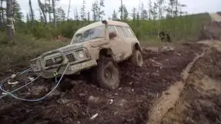 Неудачное спасение сафаря