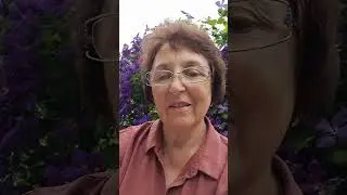 Новый клип по субботам