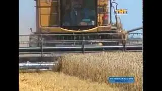 Зернышко по зернышку - уже свыше двух миллионов тонн