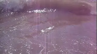 Крым классное видео(59)