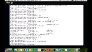 Intro to Bash and shell scripting