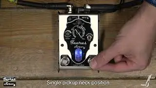 Taurus Servo 3 Custom by Abel Franco