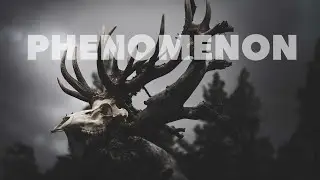 Film Music | Igor Sychev - Phenomenon | OST Dead Mountain